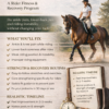 Pain-Free Horse Riding Course - LuxSteed